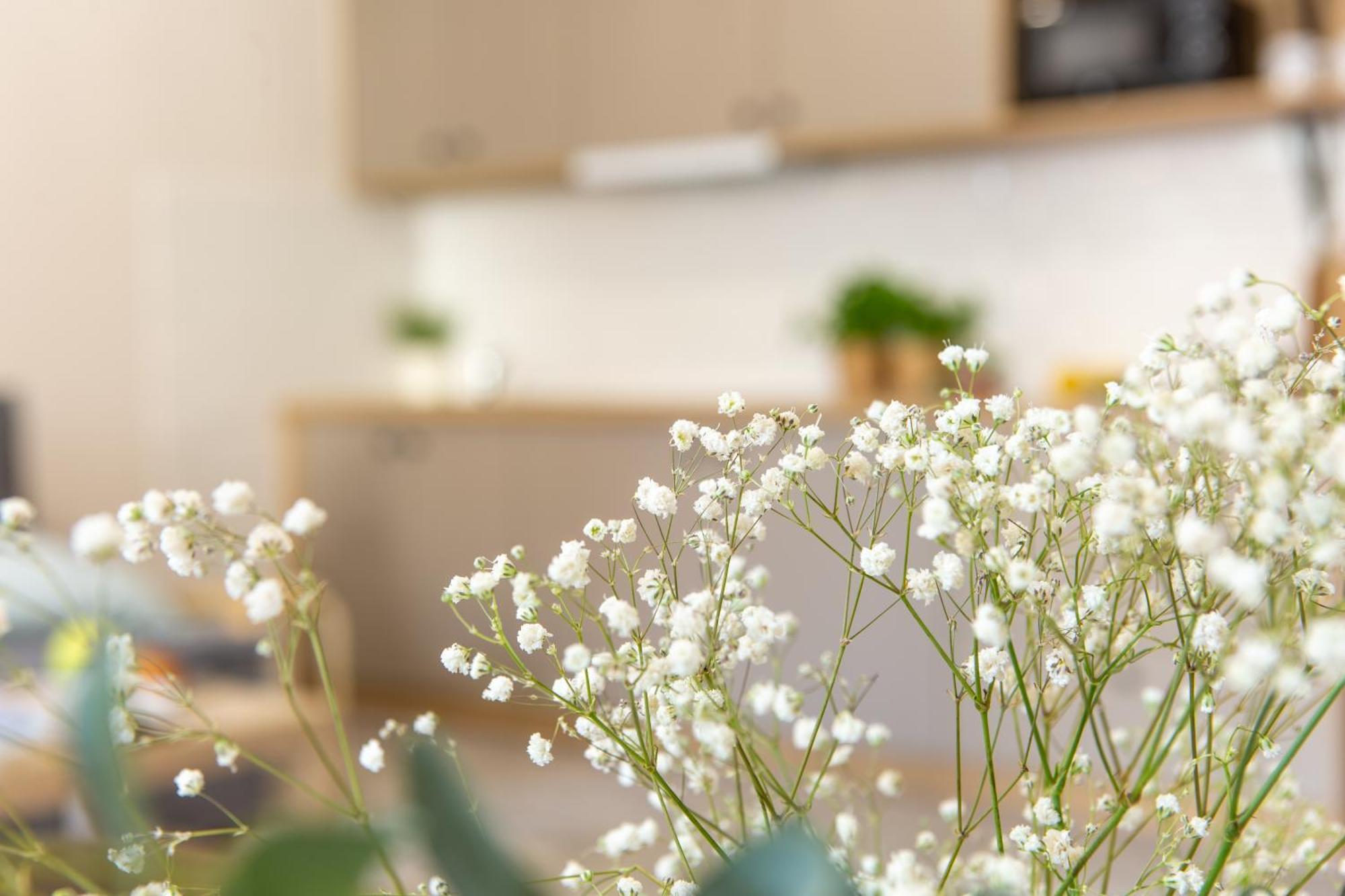 Apartamenty Kdn Na Rysiej Κατοβίτσε Εξωτερικό φωτογραφία